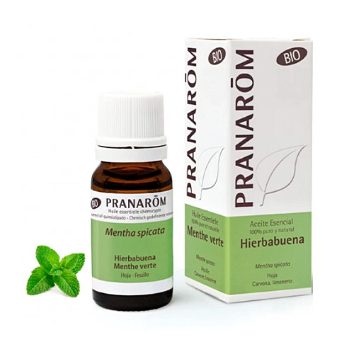 Aceite esencial de hierbabuena BIO 10ml PRANAROM