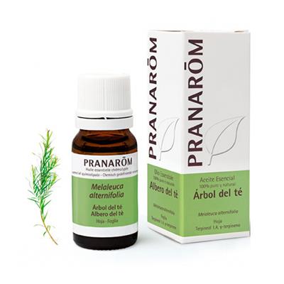 Aceite esencial de árbol del té 10ml PRANAROM