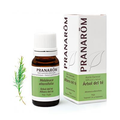 Aceite esencial de árbol del té BIO 10ml PRANAROM