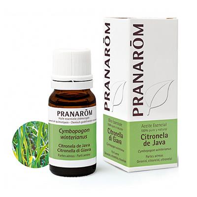 Aceite esencial de citronela de Java 10ml PRANAROM