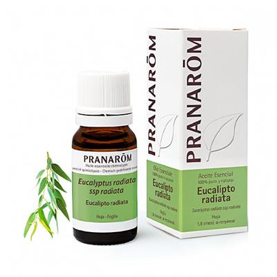 Aceite esencial de eucalipto radiata 10ml PRANAROM