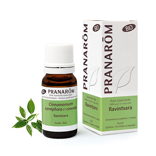 Aceite de ravintsara BIO 10ml PRANAROM