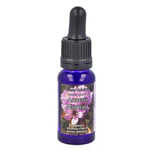 Armeria Maritima 15ml ESENCIA TRIUNIDAD