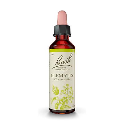 Flor de Bach Clematis-Clemátide 20ml BACH