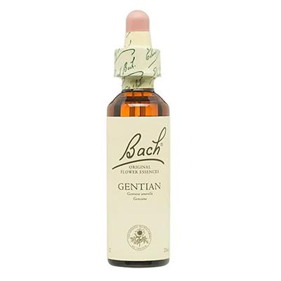 Flor de Bach Gentian-Genciana 20ml BACH