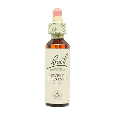 Flor de Bach Castaño Dulce-Sweet Chesnut 20ml BACH