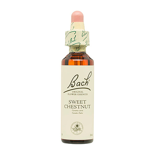 Flor de Bach Castaño Dulce-Sweet Chesnut 20ml BACH