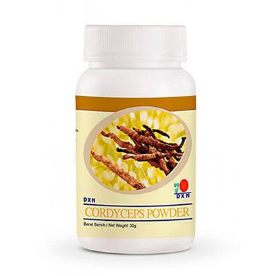 Cordyceps polvo DXN