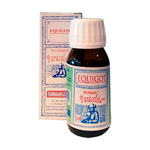 P24 Equigot 50ml PARACELSIA