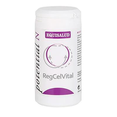 Regcelvital 60caps EQUISALUD