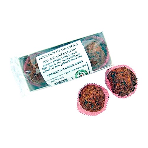 Bocados de granola con arándanos 130g BIOGREDOS