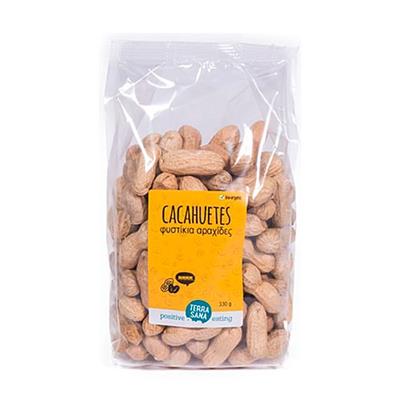 Cacahuete tostado salado BIO 250g TERRASANA