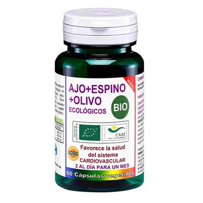 Ajo olivo espino BIO ROBIS