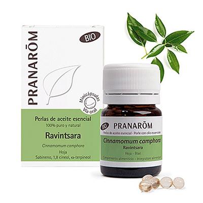 Ravintsara hoja BIO 60minicaps PRANAROM