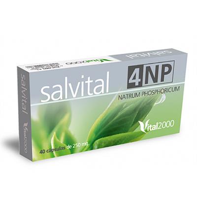 Salvital Nº 4 “NP” 40caps VITAL2000