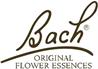 Bach